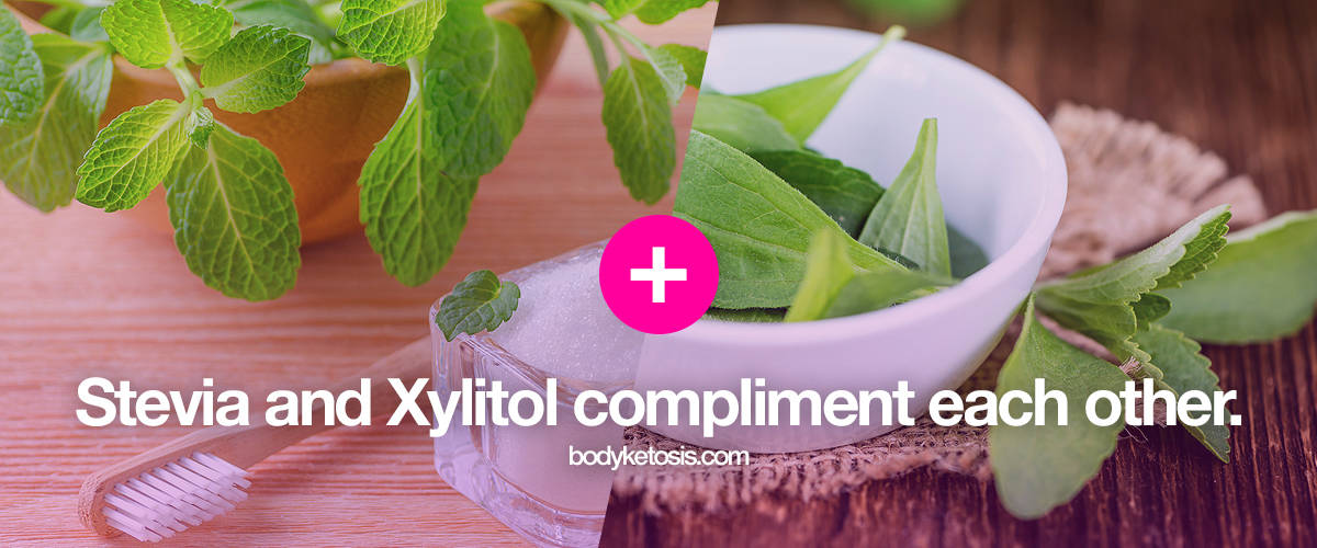 xylitol and stevia compliment each other keto sweeteners
