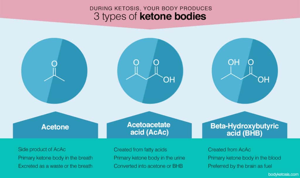 ketone bodies