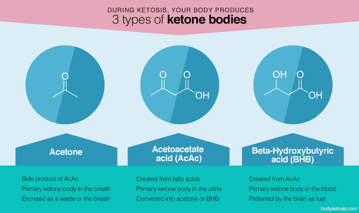three types of ketone bodies
