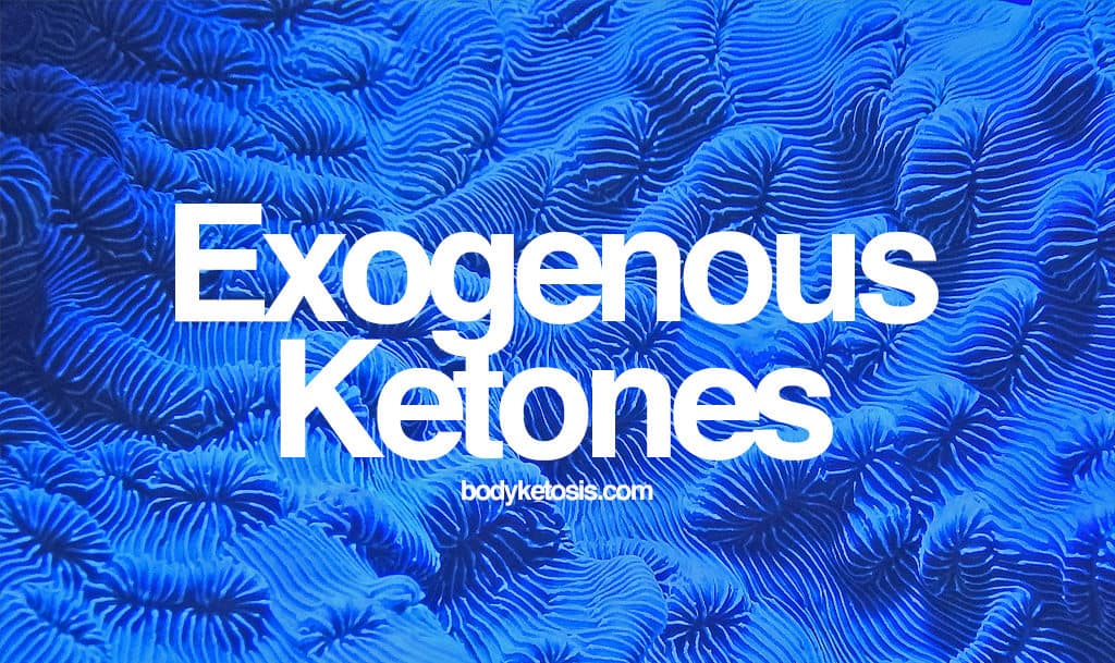 exogenous-ketones