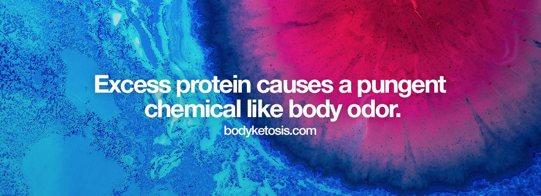 excess protein body odor