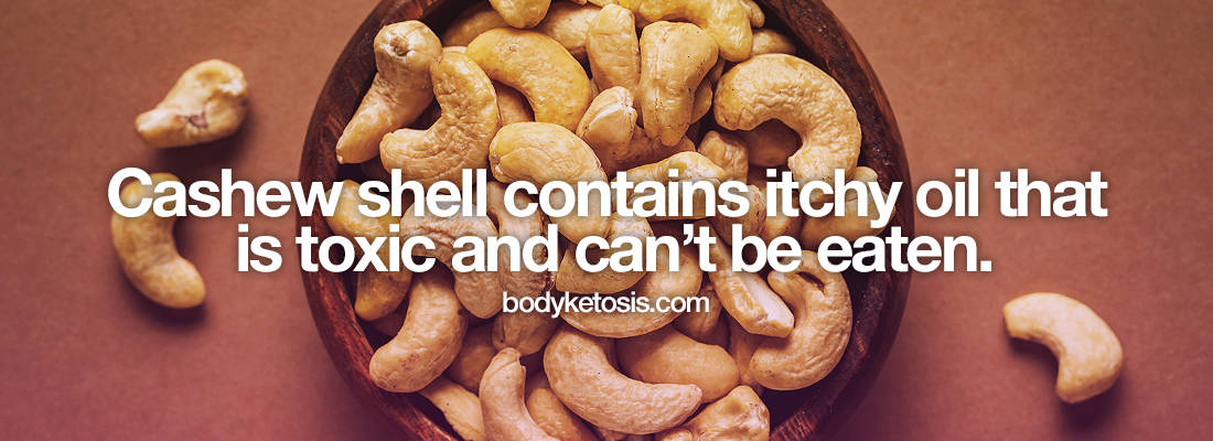 cashew shell toxic