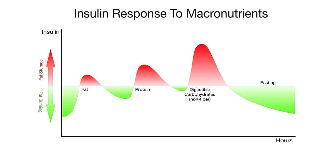 insulin response to macronutrients